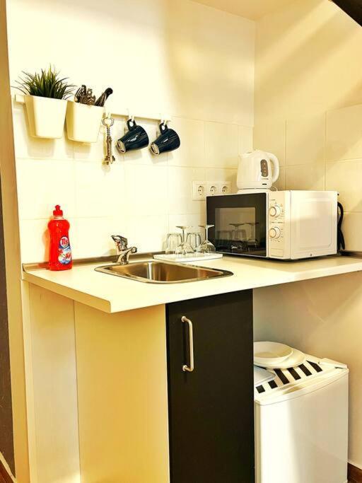 Bp Central Stylish Flats ブダペスト エクステリア 写真